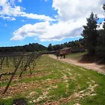 乡村民宿 Vilosell Wine El Vilosell