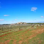 Vilosell Wine El Vilosell