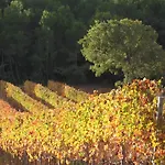 乡村民宿 Vilosell Wine