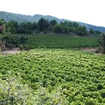 Vilosell Wine