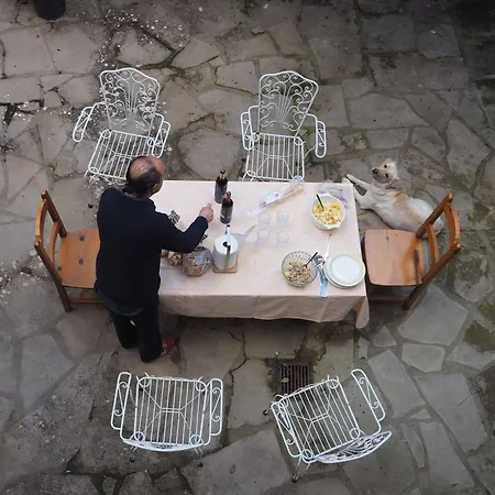 Vilosell Wine Casa de Campo El Vilosell