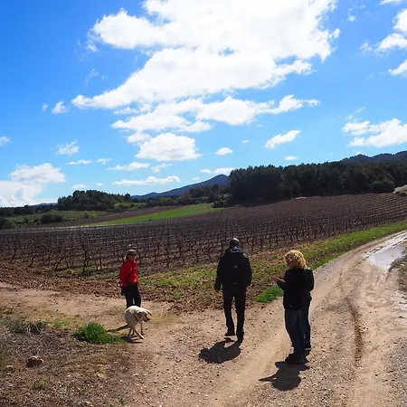 Vilosell Wine Casa rural