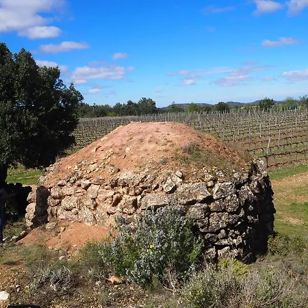 Vilosell Wine *