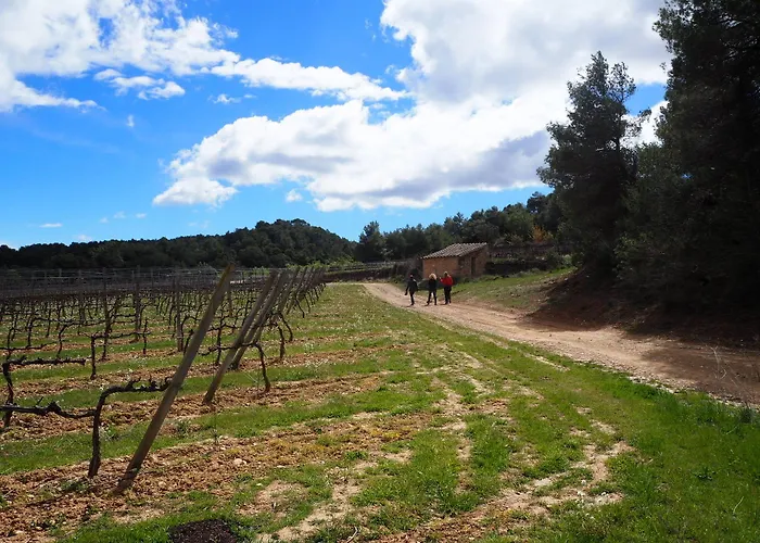 Εξοχικό σπίτι Vilosell Wine El Vilosell