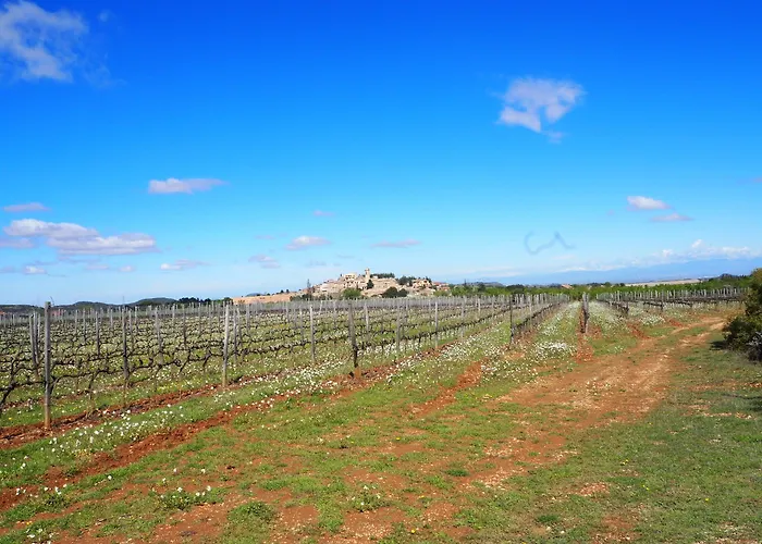 Vilosell Wine El Vilosell