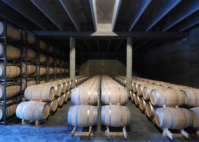 Vilosell Wine