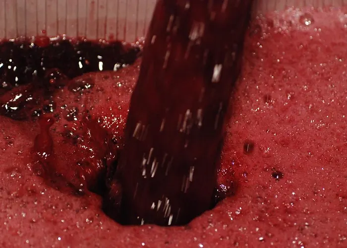 Εξοχικό σπίτι Vilosell Wine *