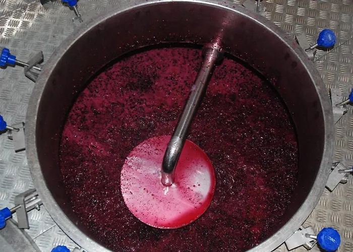 Vilosell Wine El Vilosell