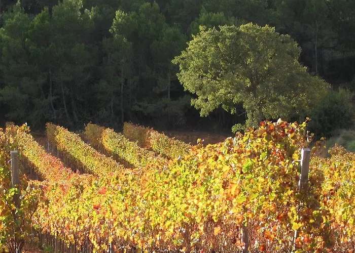Εξοχικό σπίτι Vilosell Wine