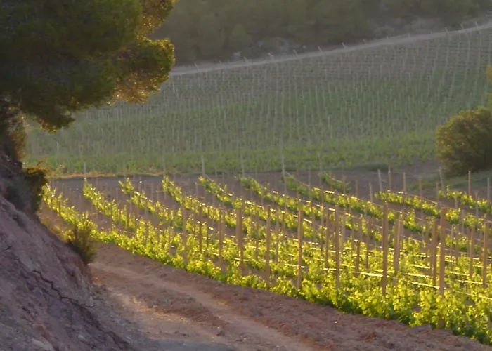 Εξοχικό σπίτι Vilosell Wine El Vilosell
