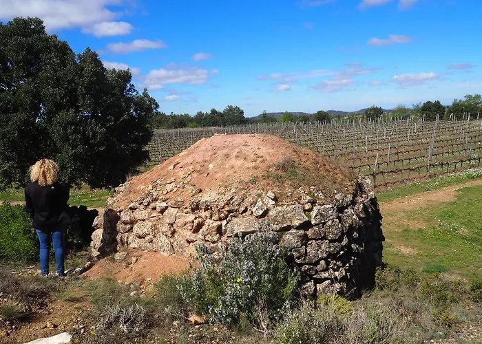 Vilosell Wine *