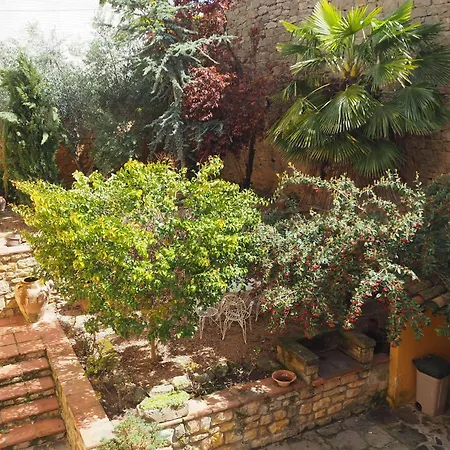 Vilosell Wine El Vilosell