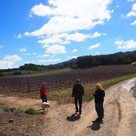 Lantställe Vilosell Wine *