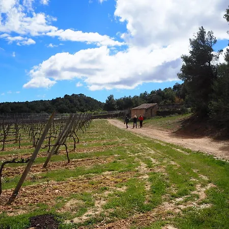 Lantställe Vilosell Wine El Vilosell