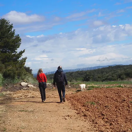 Vilosell Wine * El Vilosell