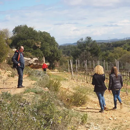 Vilosell Wine Lantställe