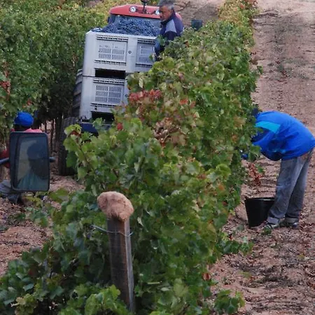 Kır Evi Vilosell Wine El Vilosell