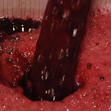 Lantställe Vilosell Wine *