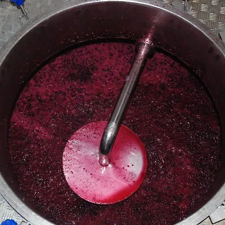 Vilosell Wine El Vilosell