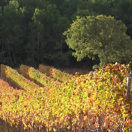 Lantställe Vilosell Wine