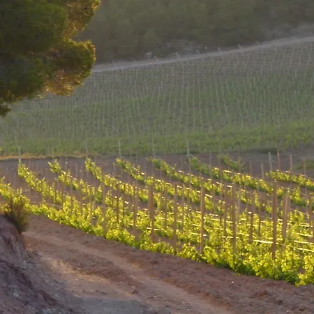 Lantställe Vilosell Wine El Vilosell