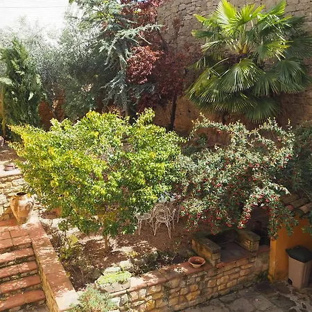 Kır Evi Vilosell Wine *